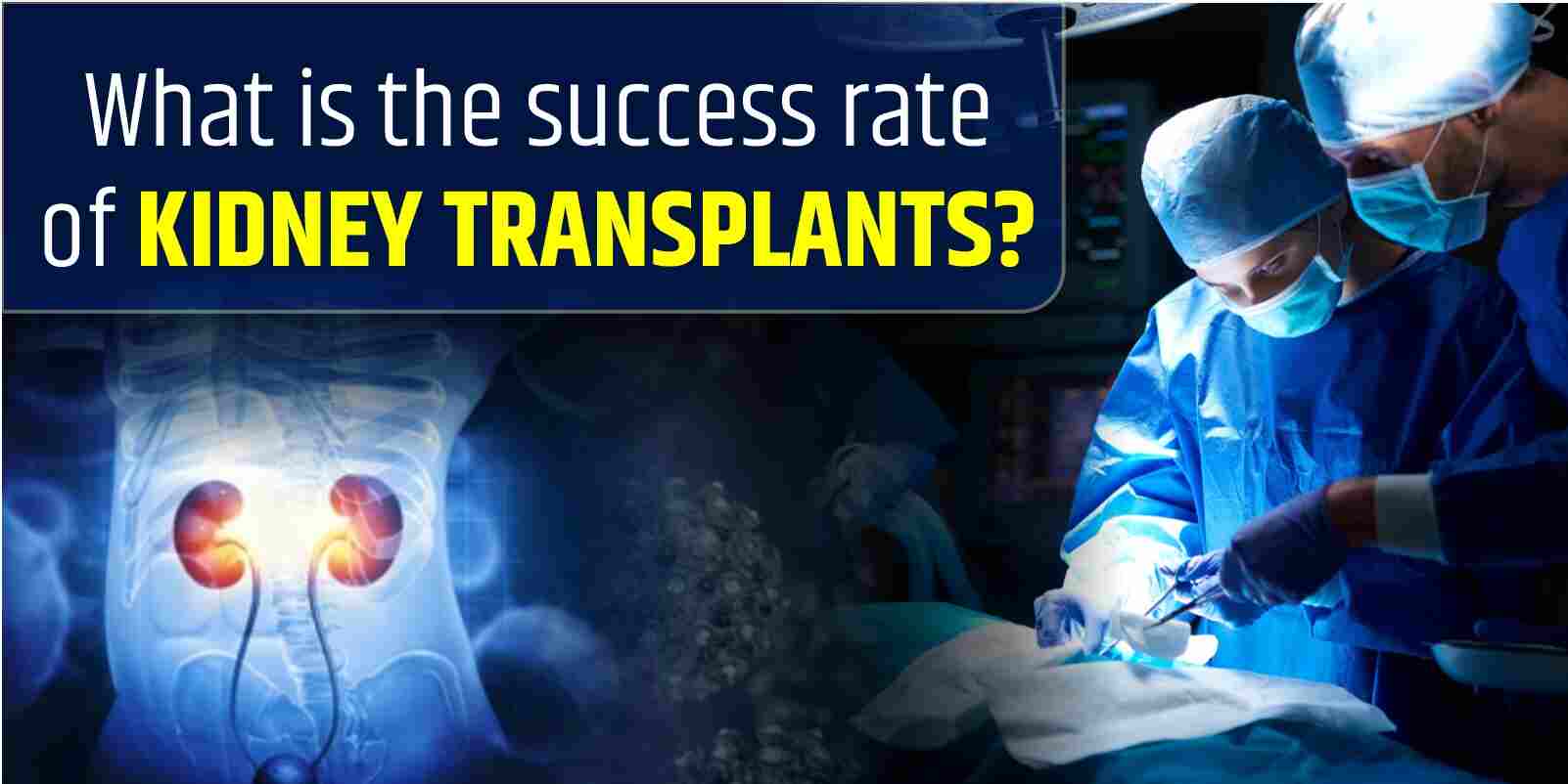 What is the success rate of kidney transplants?